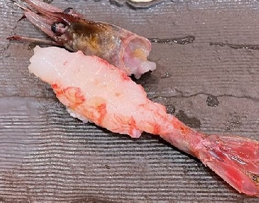 A photo of Budou ebi nigiri