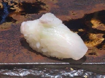 A photo of hoshigarei nigiri sushi