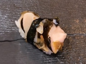 日本蝾螺 (Sazae)