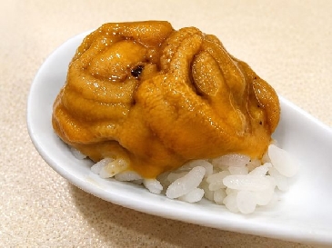 シラヒゲウニの握り寿司の画像
