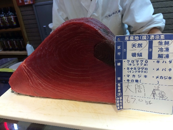 Sushi University