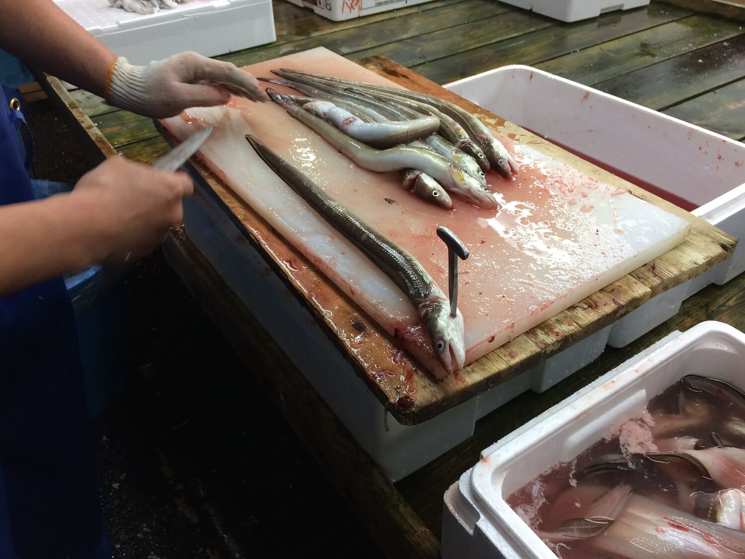 Why don’t I notice the fishy smell in sushi restaurants? Sushiblog