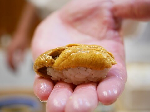 A photo of uni nigiri sushi