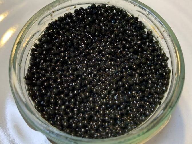 1835 Pressed Caviar