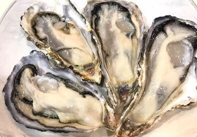 an image of oyster