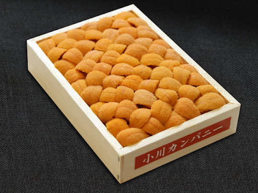 A photo of ogawa company uni