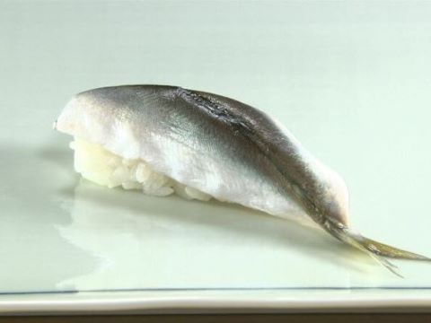 a photo of Ayu sushi