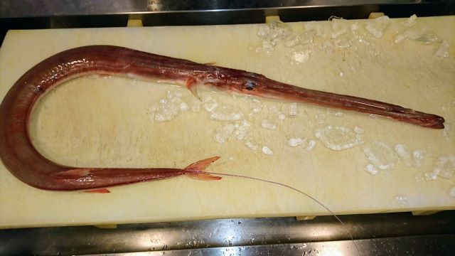 Kinmedai (Golden Eye Snapper) from Japan – Whitefin Market