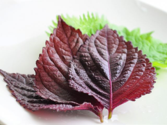 Whole-Dried Red Shiso Leaves (Akajiso)