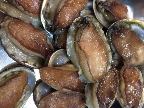 a photo of Tokobushi abalone