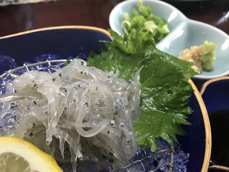 a photo of Shirasu sashimi