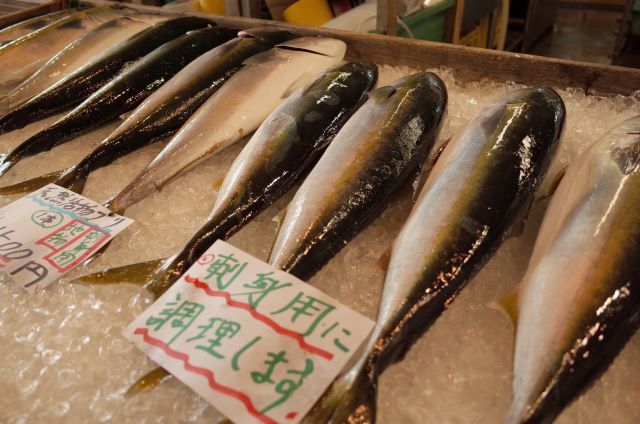 sushi or sashimi grade fish photo