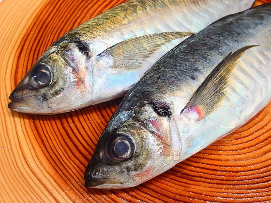 A photo of Horse mackerel (Ma-aji)