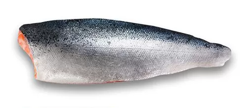 A photo of salmon fillet