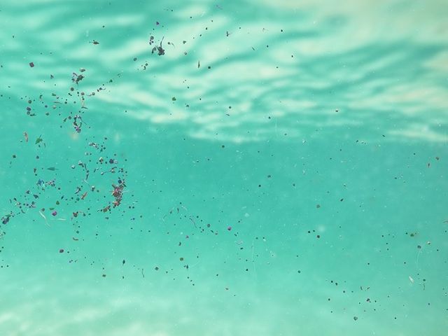 A photo of Microplastics