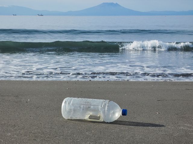 A photo of Plastic bottles