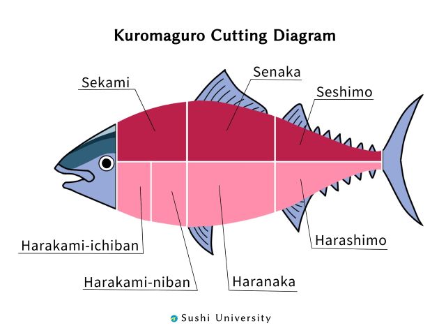 An illustration of kuromaguro cutting daigram