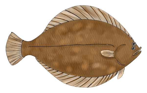 An Illustration of Karei