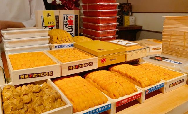 A photo of various sea urchins