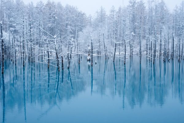 A photo of Shirogane Blue Pond in winter