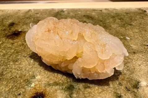 A photo of White Shrimp (Shiroebi) nigiri